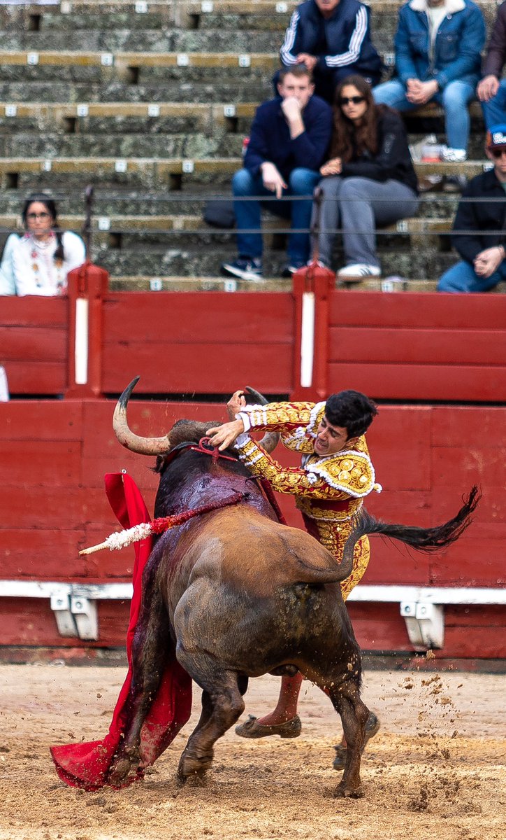 TOLEDO
Debut con picadores.