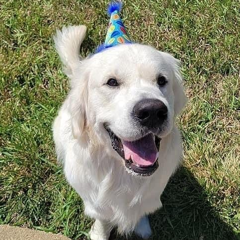 _Peachy_Bubble_'s tweet photo. BIRTHDAY! ITS MY BIRTHDAY!!!! https://t.co/SCWRozcXoN