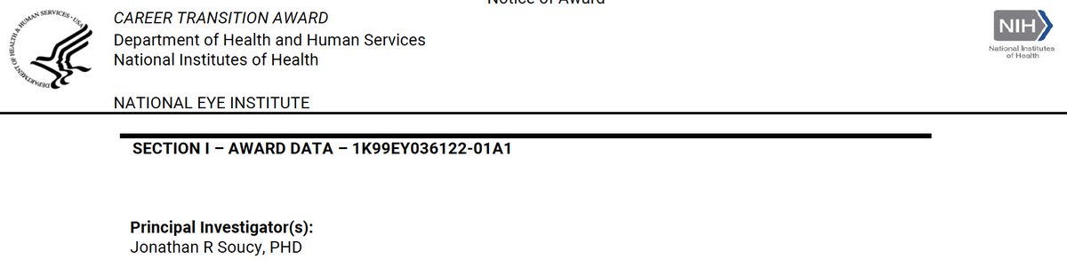 jrsoucy's tweet photo. Until then, I’m honored to be supported by an @NatEyeInstitute K99/R00 Pathway to Independence Award, where I’m investigating how neural activity can improve donor neuron integration in the retina. ⚡️@HMSeye @BaranovLab https://t.co/T91w0sEQmw
