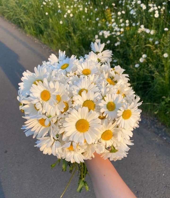 Ⓕⓛⓞⓦⓔⓡⓢ (@tuliipslove) on Twitter photo 