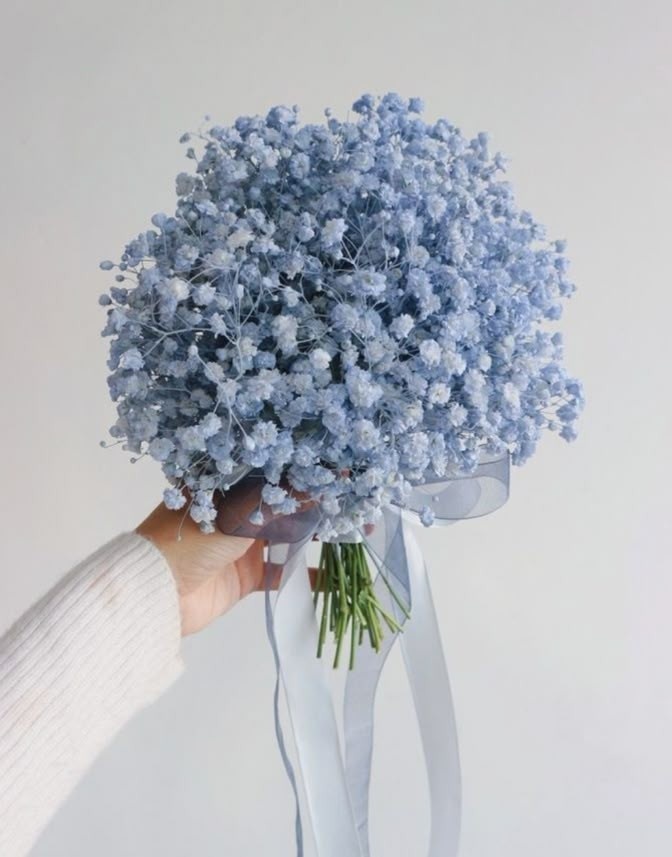 Ⓕⓛⓞⓦⓔⓡⓢ (@tuliipslove) on Twitter photo 