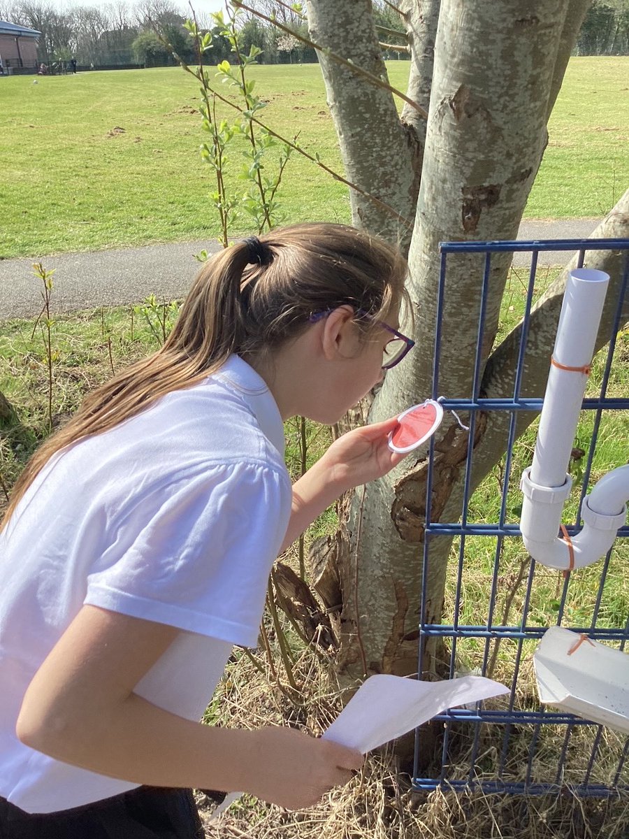 Redmarshschool's tweet photo. A big Red Marsh thank you to all the local businesses, community and parents who generously donated Easter eggs. Our children had a fantastic time on the last day of term, participating in an exciting Easter egg hunt, and were thrilled to receive an egg for their efforts! https://t.co/uxdiOnn1IT