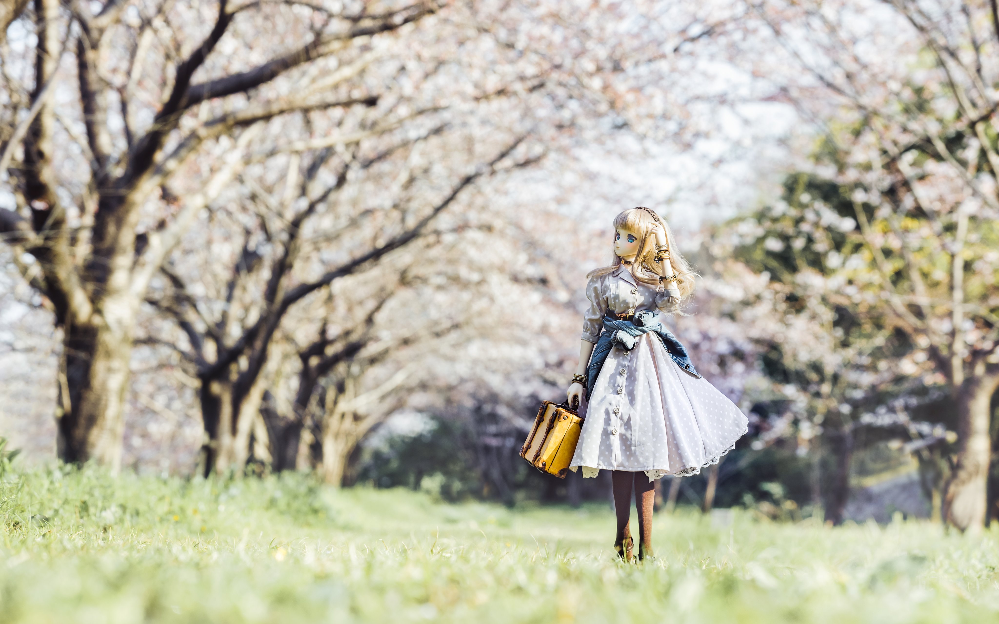TOAClaris🌸とあ (@toaclaris) / X