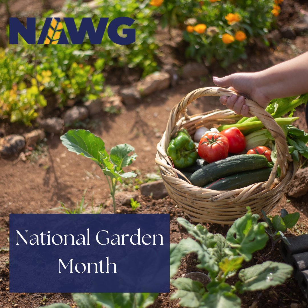 National Garden Month is a reminder that every acre starts with a seed, and whether it's a backyard bed or a wheat field, it's the same care, soil, and stewardship that feeds our families and communities.