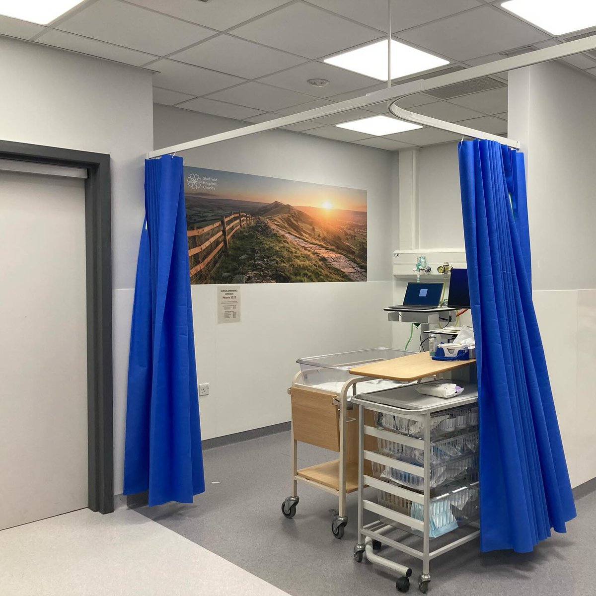 STH Arts In Health tweet media