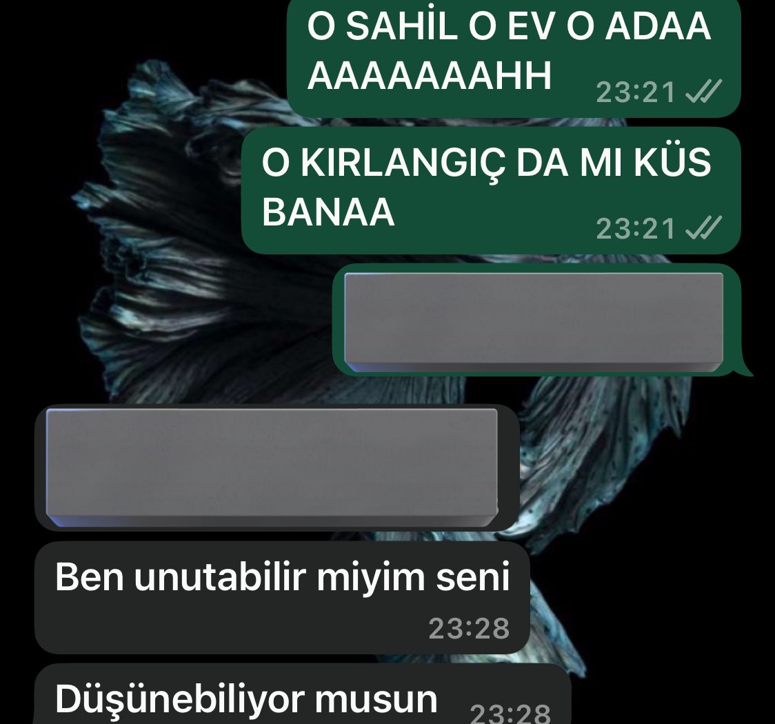 gbilgesuerdal's tweet photo. Yapma Bilgecim yapma güzelim https://t.co/pLN48FU98Q