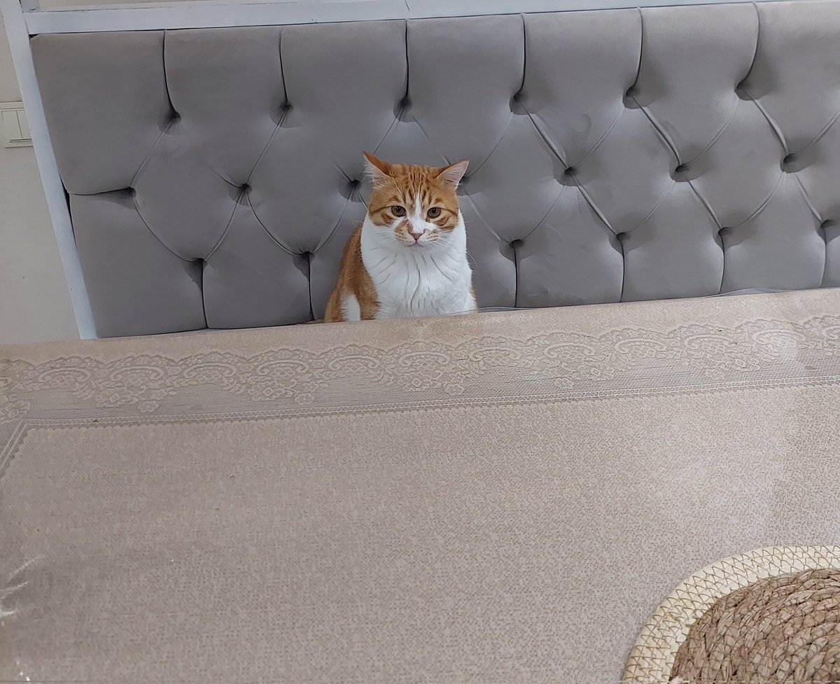 neden McDonalds sölemediniz
boykot mu