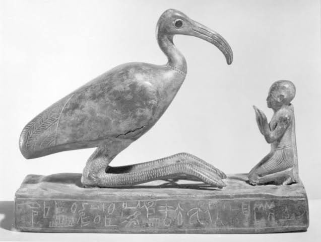 Paula López (@paulaloprom) on Twitter photo 