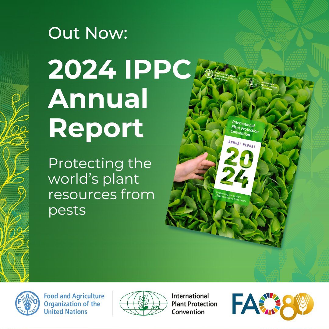📢 Just released! The #IPPC Annual Report 2024 is now available.

From strengthening plant health systems to advancing international cooperation, discover how the IPPC made strides last year.🌎🌾

🔗 Read the report: bit.ly/3XYJUux

#PlantHealth 🌱