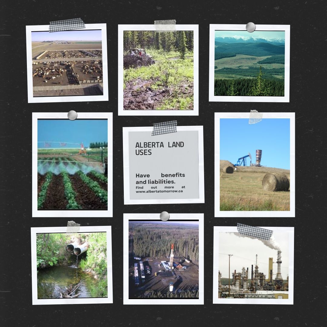AlbertaTomorrow's tweet image. Learning about #alberta #landuse, benefits and libilities  using @Albertatomorrow.   #abed #abteachers #abnewsciencecurriculum