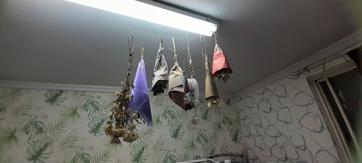 اتاق دخترا در خوابگاه :