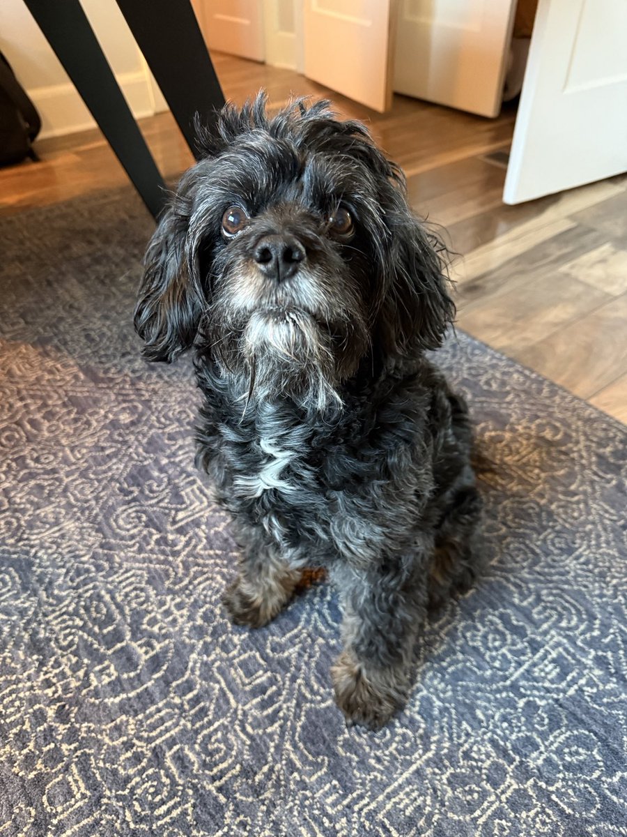 Eli McCann tweet media