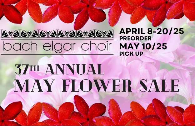 🌸 Just 1 week left! 
Brighten your spring with gorgeous spring flowers and support local music! Pre-order by April 20.

Pickup in Hamilton or Burlington
Shop now: zeffy.com/ticketing/bec-…
 
#BachElgarChoir #BachElgarFlowers #SpringIntoSong #SupportTheArts #MothersDay #PreOrderNow