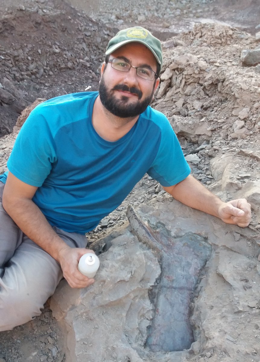 agolpedebit's tweet photo. 🦕Hoy, en A Golpe de Bit, hemos charlado sobre el descubrimiento de una nueva especie de dinosaurio con @FerEscaso , profesor e investigador de la @UNED y coautor del estudio.

https://t.co/fGuUq4Wpfm https://t.co/1s76RNIevR