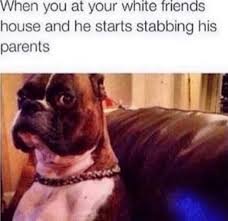 fartknocker♈︎™ 🍉 tweet media