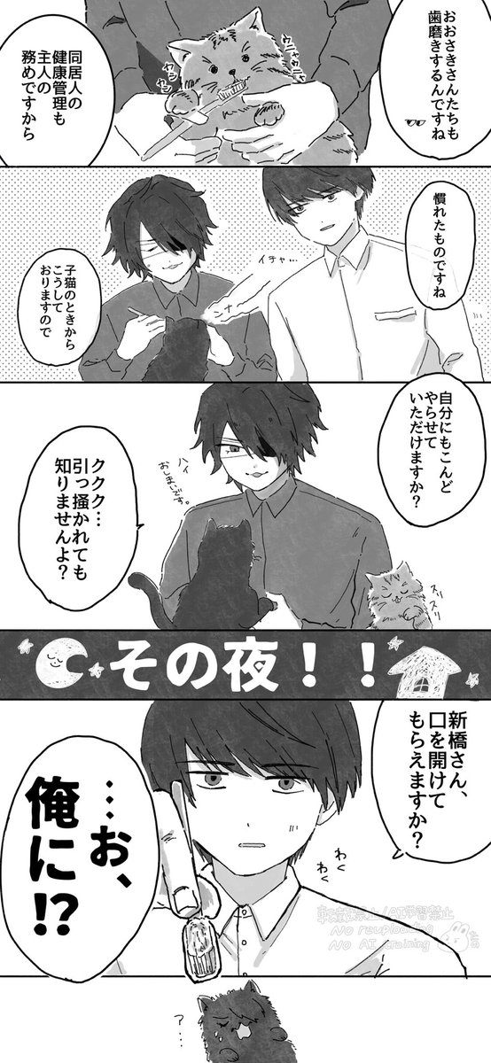 お手入れ🐈‍⬛大新 