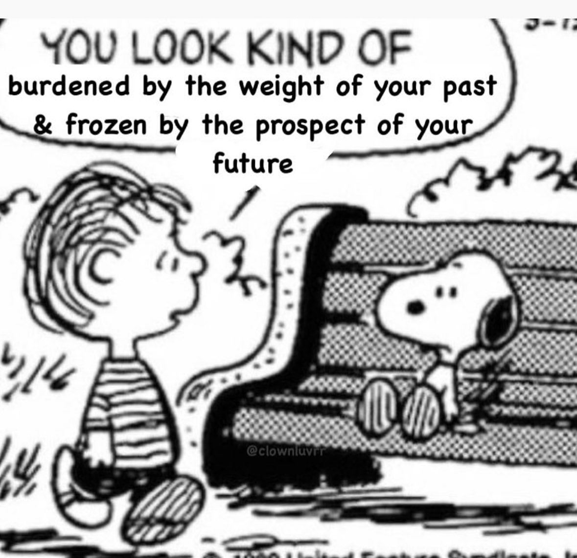 Vivid Void tweet media