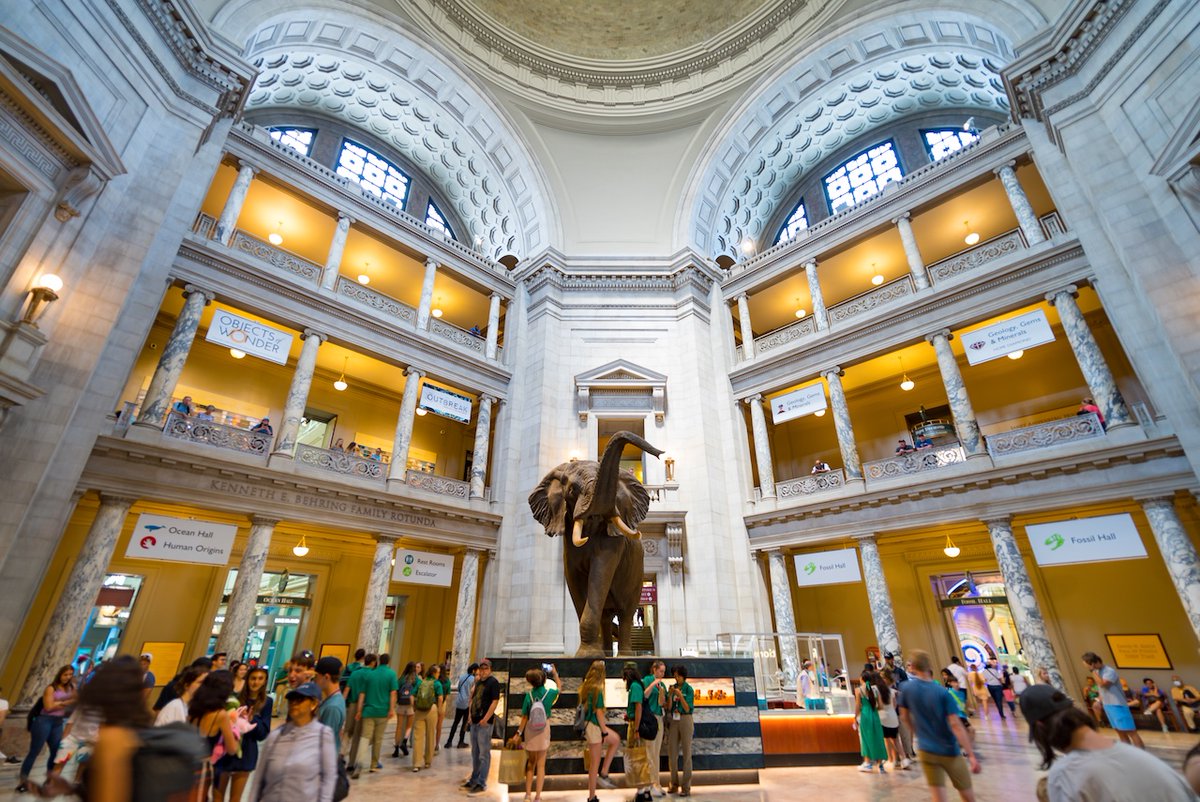 Everything you need to know for 3 days of family fun in the nation's capital. ➡️ bit.ly/2KMls93

#Only1DC