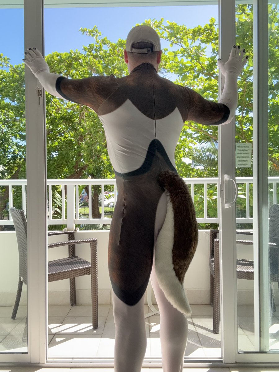 Love being able to get some tail time in while on a layover with #petsuit