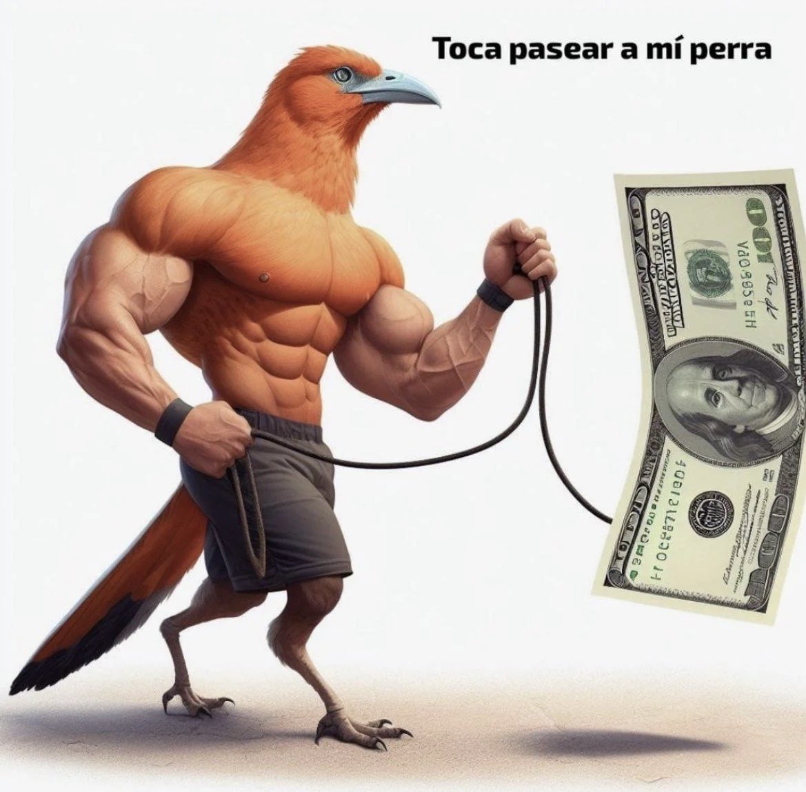 tuki
