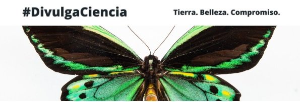 Museo de Ciencias UNAV (@museoccnn_unav) on Twitter photo ⚠️NUEVA NEWSLETTER: Noticias, talleres, actividades y eventos: bit.ly/4cwlIW5
🎬Nueva edición de <a href="/labmecrazy/">LabMeCrazy!</a>
🏕Campamentos Cienceando
📢Comunicación Científica
¡Y mucho más!
¿Te lo vas a perder? ⚠️NUEVA NEWSLETTER: Noticias, talleres, actividades y eventos: bit.ly/4cwlIW5
🎬Nueva edición de <a href="/labmecrazy/">LabMeCrazy!</a>
🏕Campamentos Cienceando
📢Comunicación Científica
¡Y mucho más!
¿Te lo vas a perder?