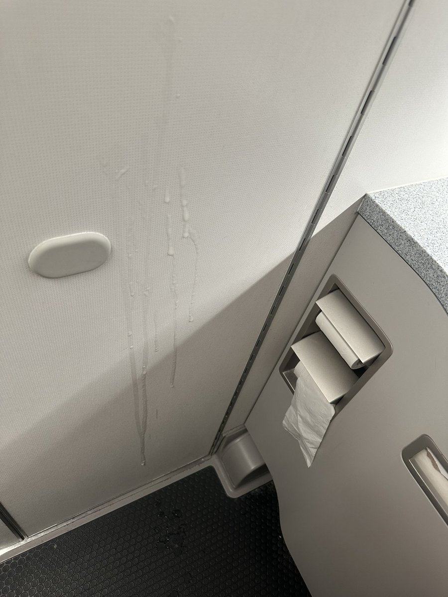 I was so horny on the plane so I had to cum 🍆💦😈