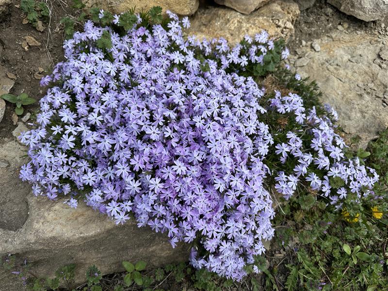 Are you like us, and ready to thaw out? Spring is blooming across our network. Soak up some springtime warmth in photos snapped by team members in communities from Virginia to Utah and other spots along the way. 
#spring #agriculture