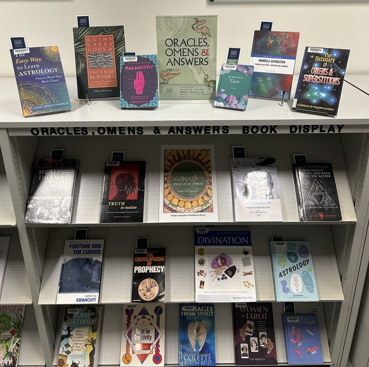 Social Science Library tweet media