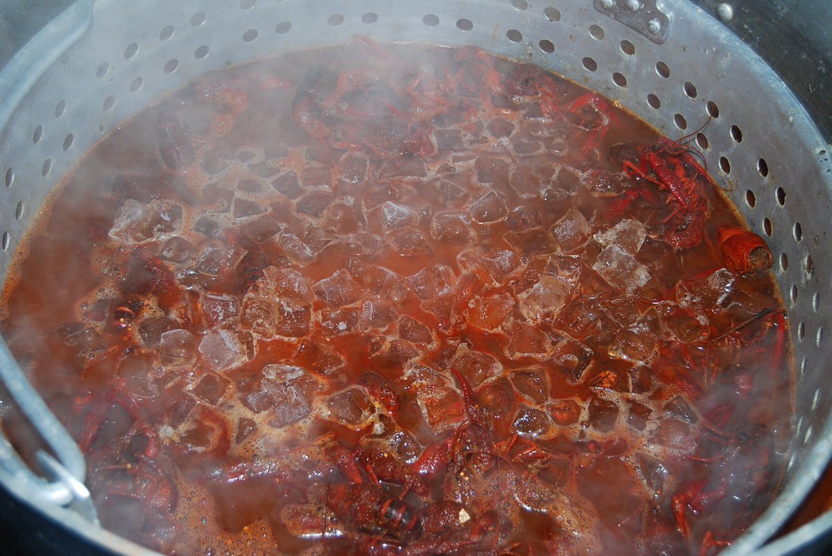 ragnarresearch's tweet photo. Thanks to everyone who joined us for the Ragnar Crawfish Boil! 🦞 It was a fantastic day with great company. Looking forward to our next event! 🎉 #CrawfishBoil #TeamRagnar https://t.co/cfiYmGO4Yq