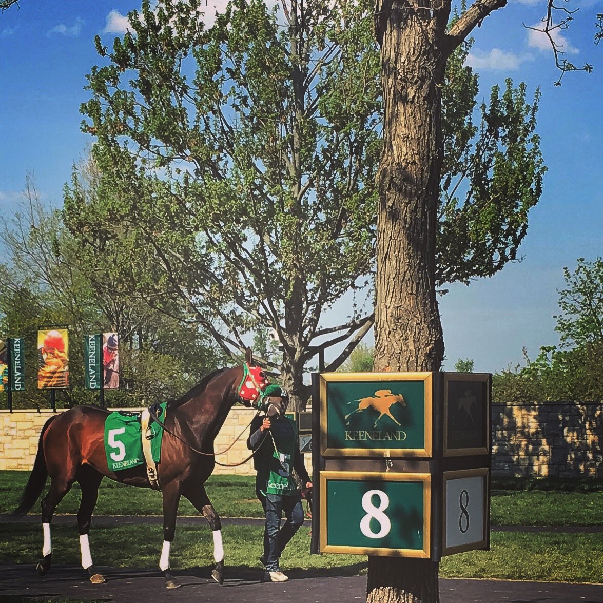 jockeybots's tweet photo. Don’t trade, buy a racehorse https://t.co/b49LeVtqDu
