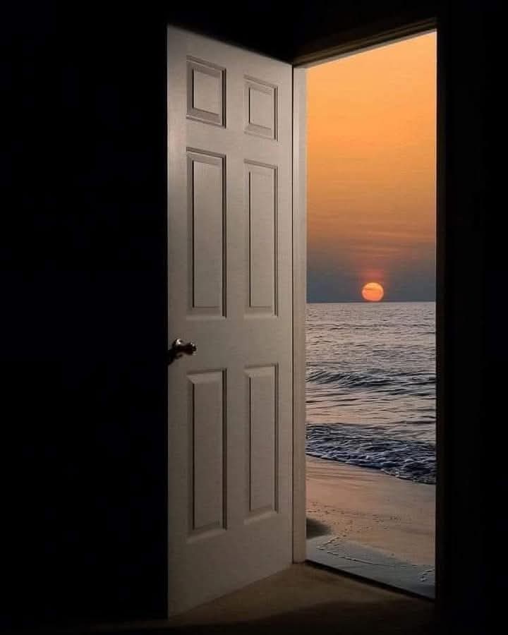 "أَحْتَاجُ لِجُرْعَةِ إِهْمَالٍ أُخْرَى، لِيَمُوتَ مَا تَبَقَّى لَدَيَّ مِنْ مَشَاعِرٍ.