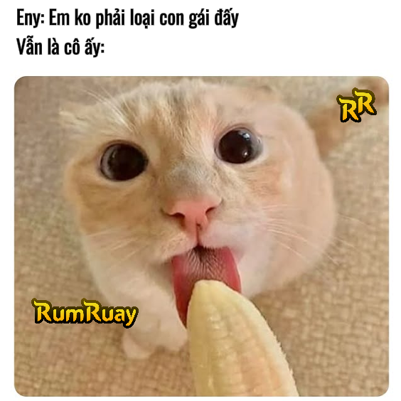 VTHH01's tweet photo. 😂😂😂
#xuhuong #fyp #trending #funny #gaming #gamer #rumruay #vutruhaihuoc https://t.co/qDMfNjmji4