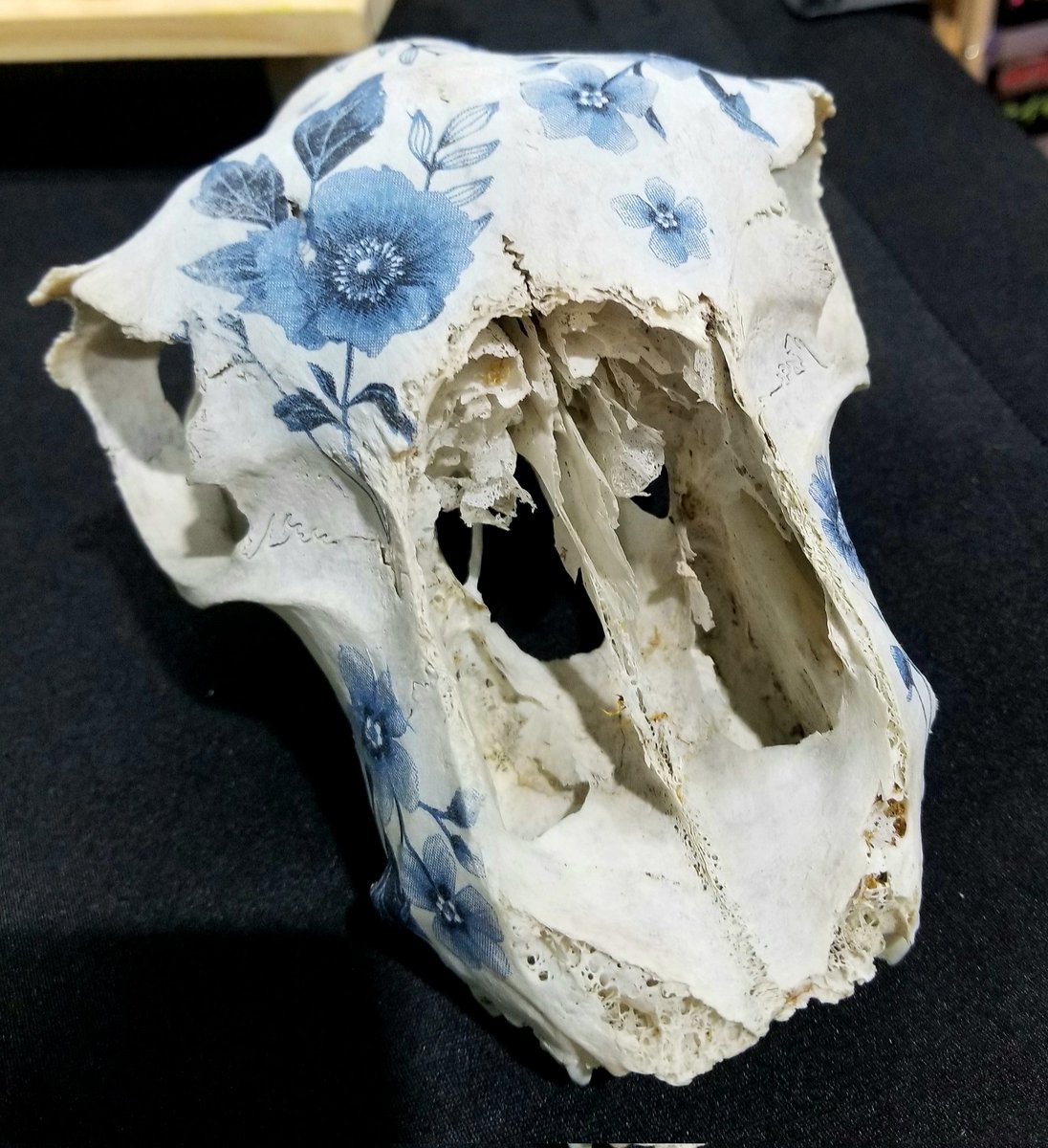 Gameguy69's tweet image. Hand-crafted artefacts at Horrorwood (Heywood Horror Con) yesterday. #Horrorwood #horror #pentagram #makersmarket #alternativemarket #apothecaryofflames