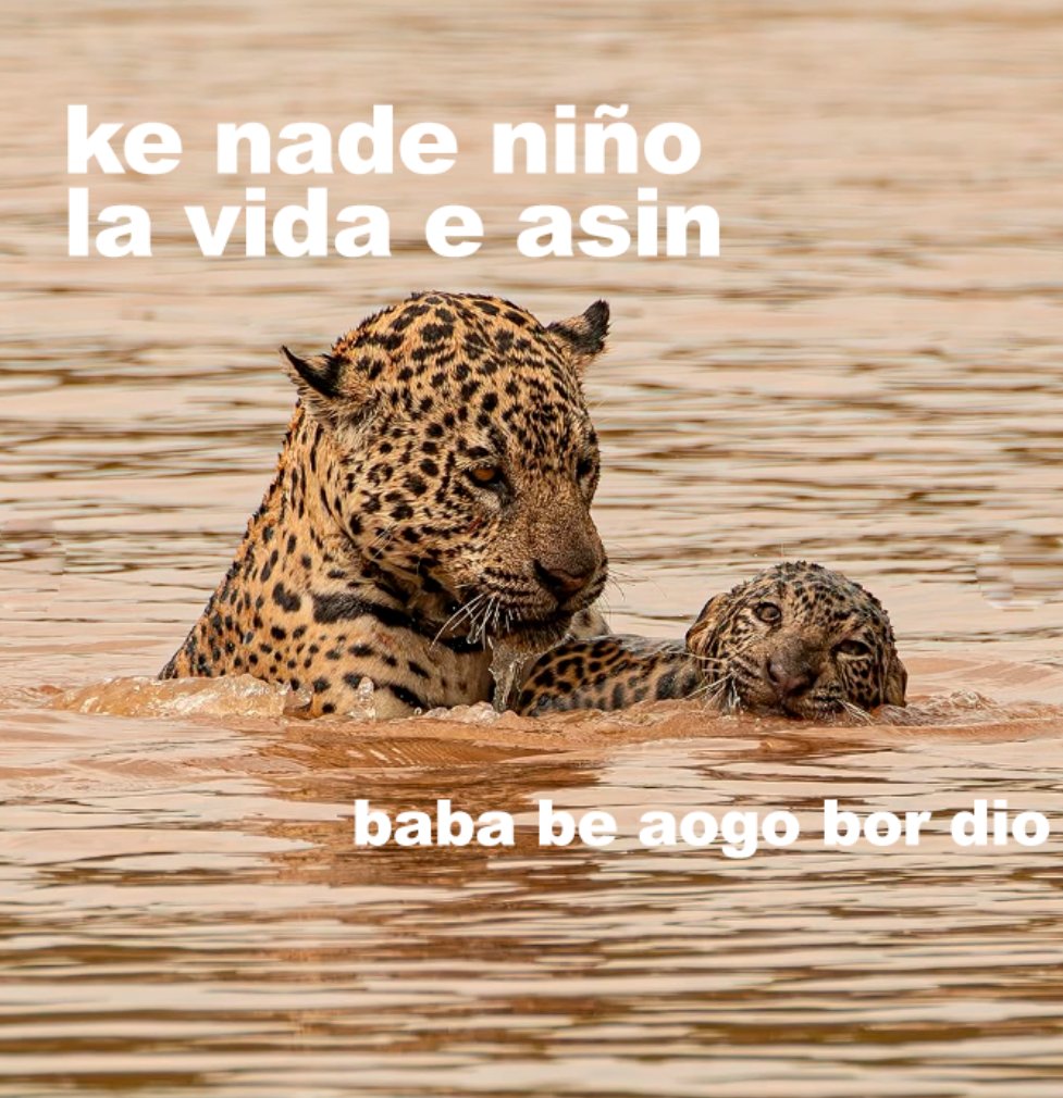 malacarasev's tweet photo. MI INFANSIA Y VIDA EN GENERA https://t.co/zzYJprLeaO