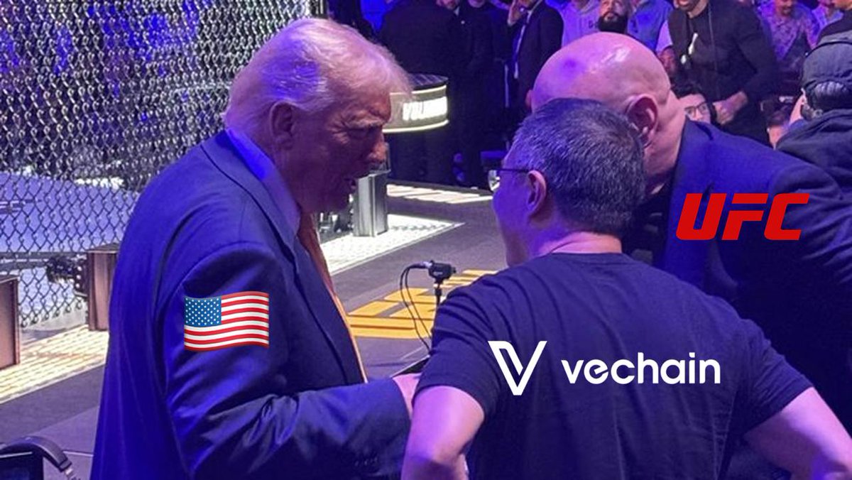 SFResearch_HQ's tweet photo. 🇺🇸 #MAGA + @ufc + @vechainofficial = $B3TR world? 

#iykyk https://t.co/2FZKSwhwA7