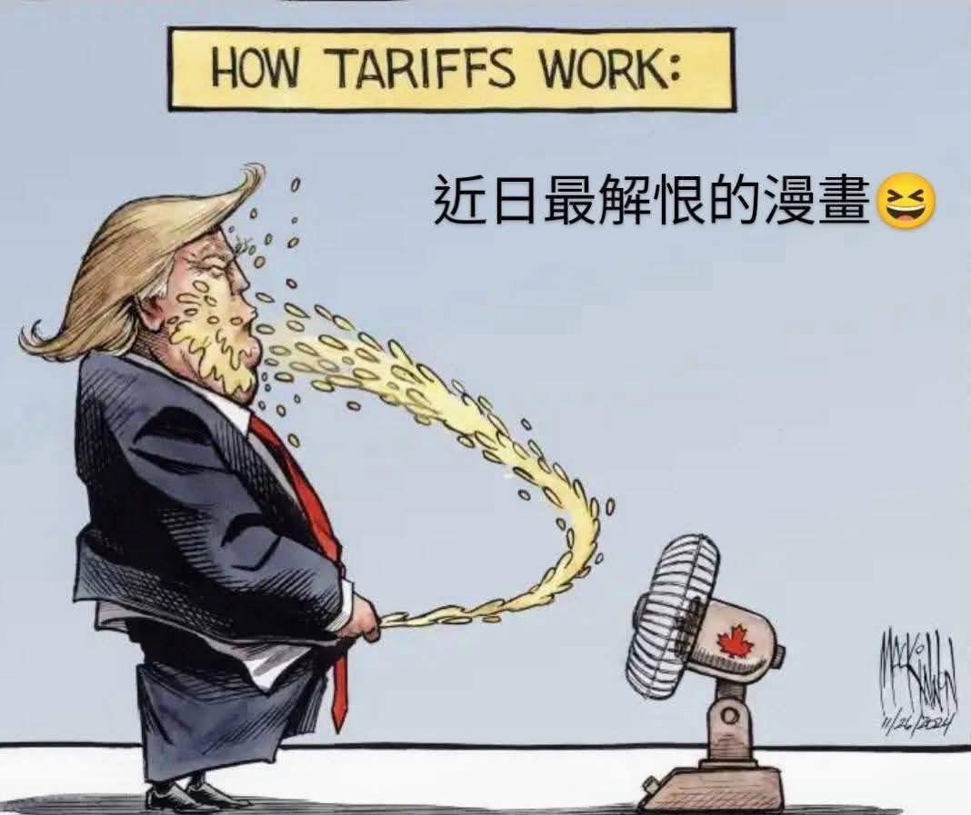dominictsz's tweet image. How tariffs work.