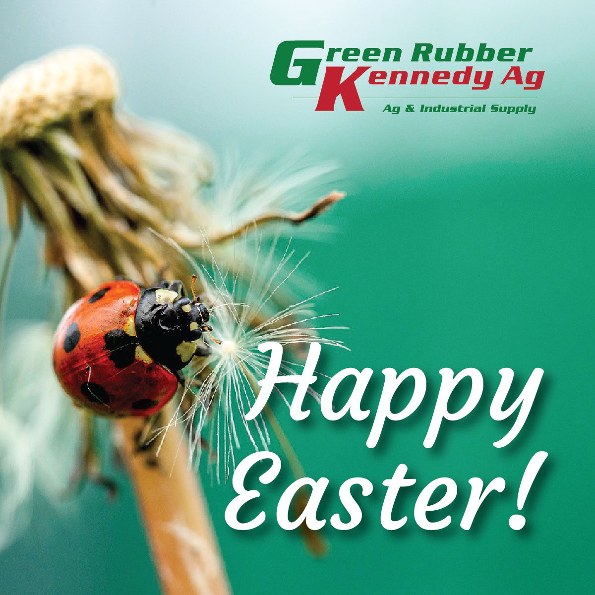 We are thankful for our amazing customers and wish you all a Happy Easter!
