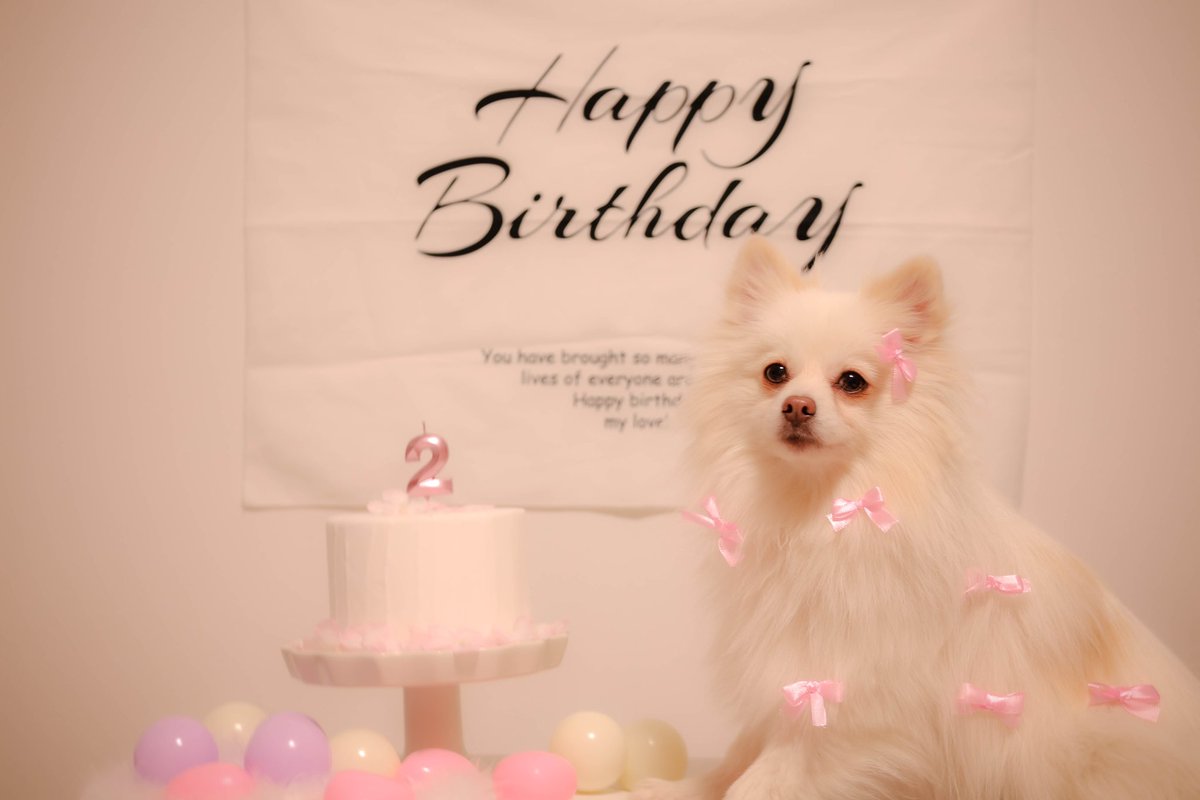 レティ🐼ボーダーコリー tweet media