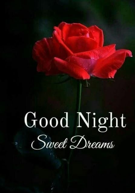 Closing my eyes and sending you all my love before I fall asleep.

GOOD NIGHT!!!!