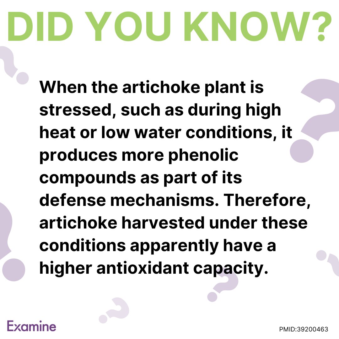 Examinecom's tweet image. Did you know?

When the artichoke plant is stressed, such as during high heat or low water conditions, it produces more phenolic compounds as part of its defense mechanisms.

PMID:39200463

Learn more: examine.news/tw250414

#examined #artichoke #extract #antioxidant