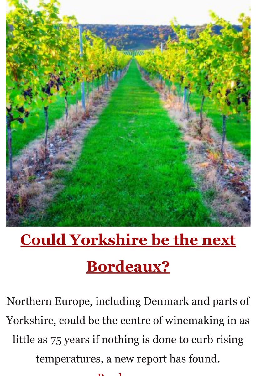 Kate Masterofwhine tweet media