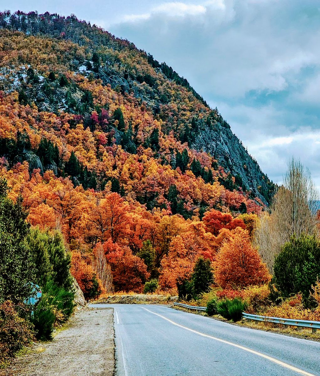 ¡Buen día! ¡Buena semana!
Ruta 40 .Siete Lagos. 😍🧉🍁
Patagonia 🇦🇷