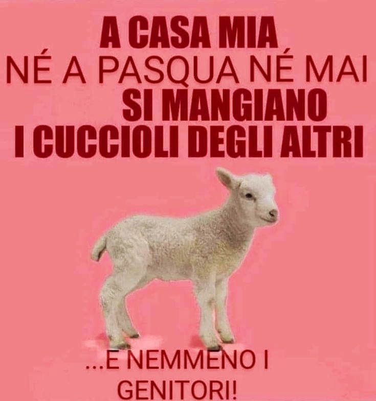 gianni_runco's tweet photo. Sono tutti agnelli. Go Vegan! #govegan #AnimalRights #veganfood #veganism #veganlife #crueltyfree #Vegan #nomeat #vegano #plantbased #vegetables #animallovers #veganrevolution #veganworld #VeganRecipes #empatia #animalliberation #SaveTheLamb #nomilk #veganeaster #nonviolence #veg https://t.co/WKI8cFxuJi
