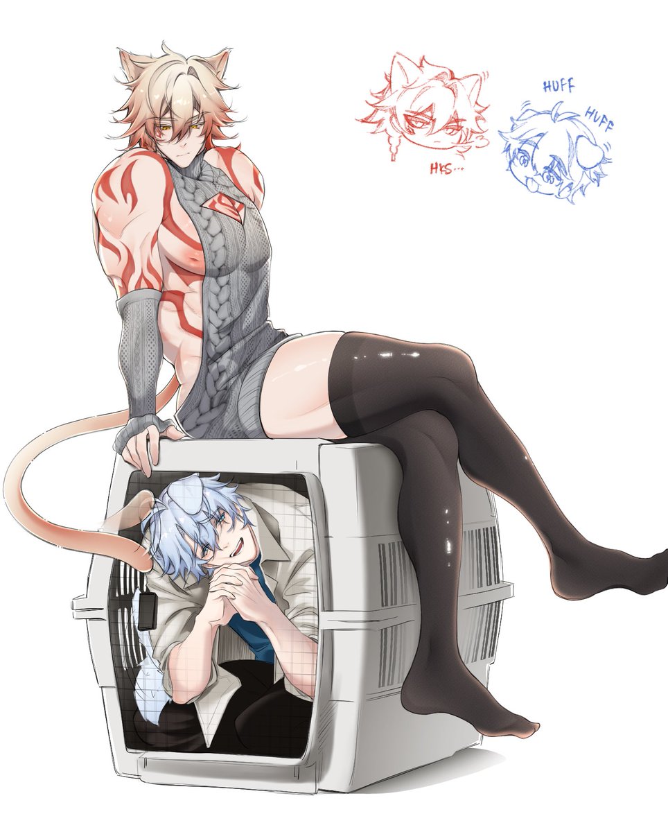 tauco 🫘 黄豆酱 tweet media