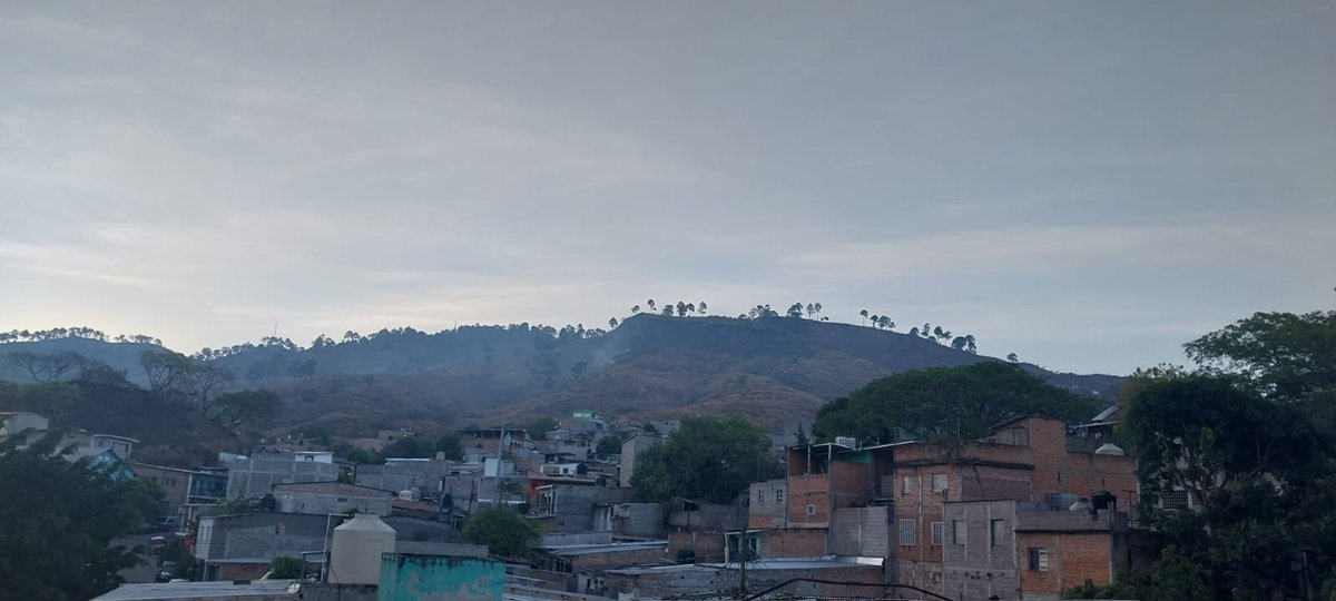 ICFHonduras's tweet photo. Brigadas del #ICF combatió durante horas de la noche el incendio forestal registrado en la Colonia El Sitio, Tegucigalpa 🔥🌙.
El siniestro fue liquidado en su totalidad en horas de la mañana de este día ☀️✅.
¡Seguimos trabajando por nuestros bosques! 🌲✊
#NoMasIncendios
#HéroesDelBosque