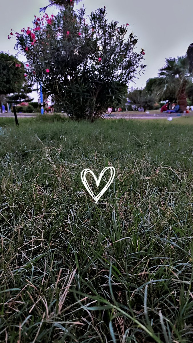 اني بالحديقه الشعب #الحديدة