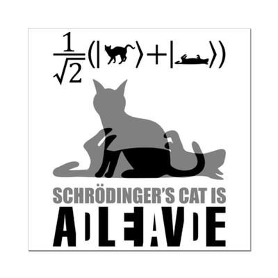 #DiaMundialdelaCuantica

La superposición cuántica del gato de Schrödinger.