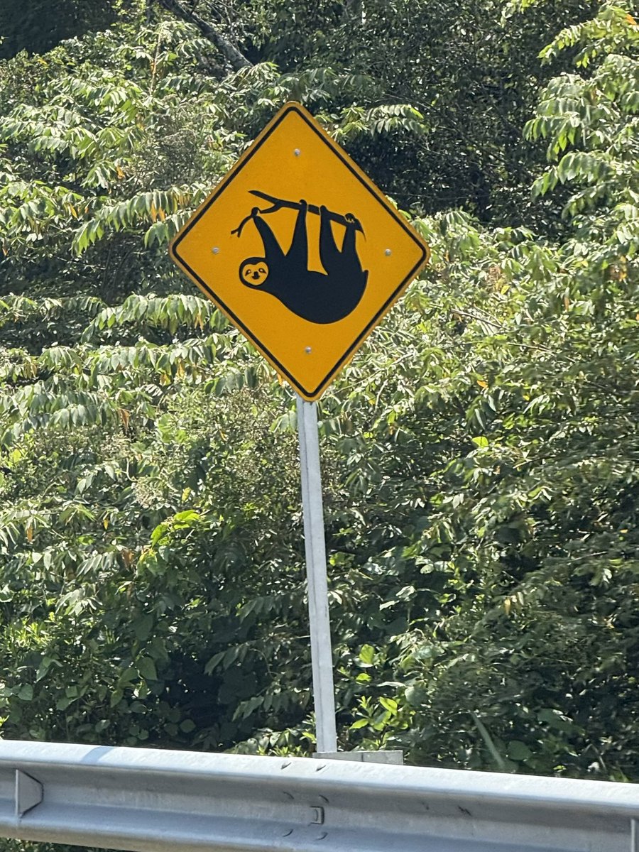 Sr. Mapache 🇨🇴 tweet media