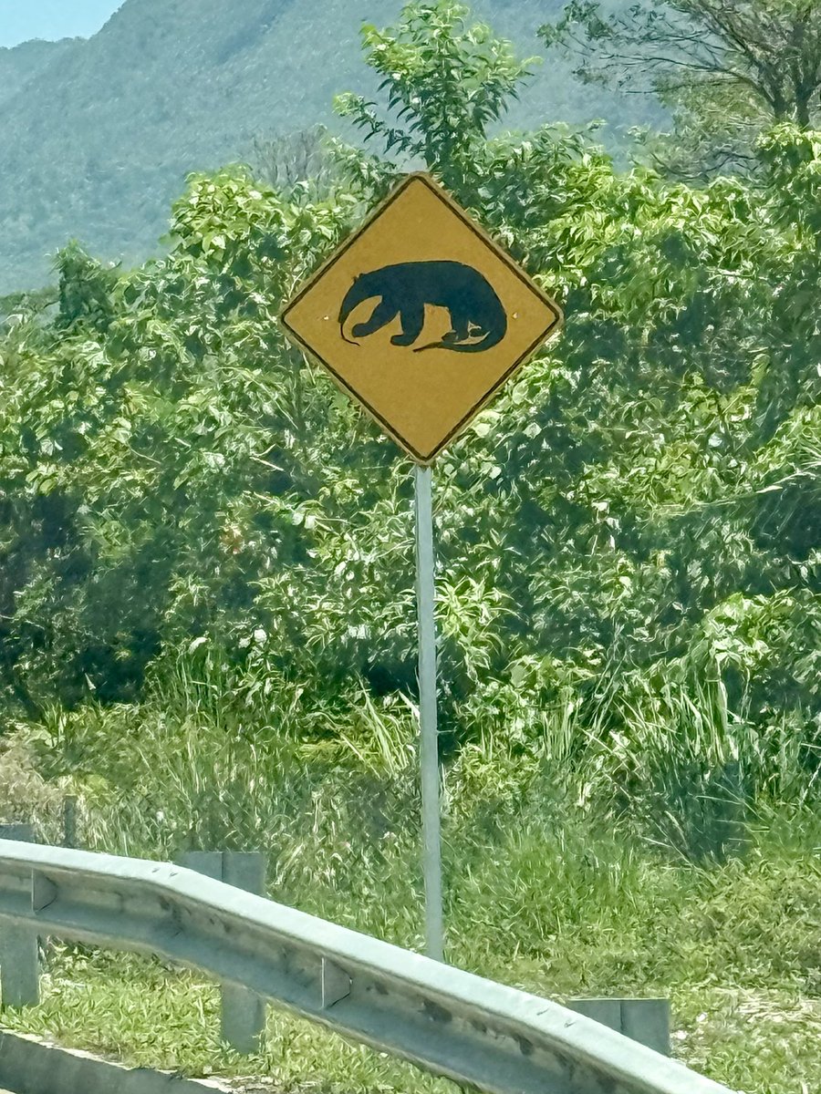 No es por nada, pero tienen que admitir que hay pocos países en el mundo con señales de tránsito más maravillosas que éstas en las carreteras de Colombia 🇨🇴

¿Tienen alguna mejor? Déjenla aquí abajo 😎