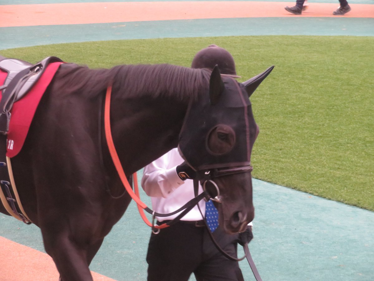 R_E_Y_D_E_O_R_O's tweet image. クロワデュノール #東京スポーツ杯2歳S